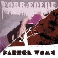 Barren Womb/Forraederi - The Perfect Hoax split 7